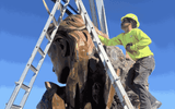 Hartlauer Signs employee securing the Siegfried & Roy sculpture to a crane before the transportation process