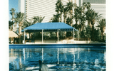 Promotional photograph for the Dolphin Habitat at The Mirage Hotel & Casino