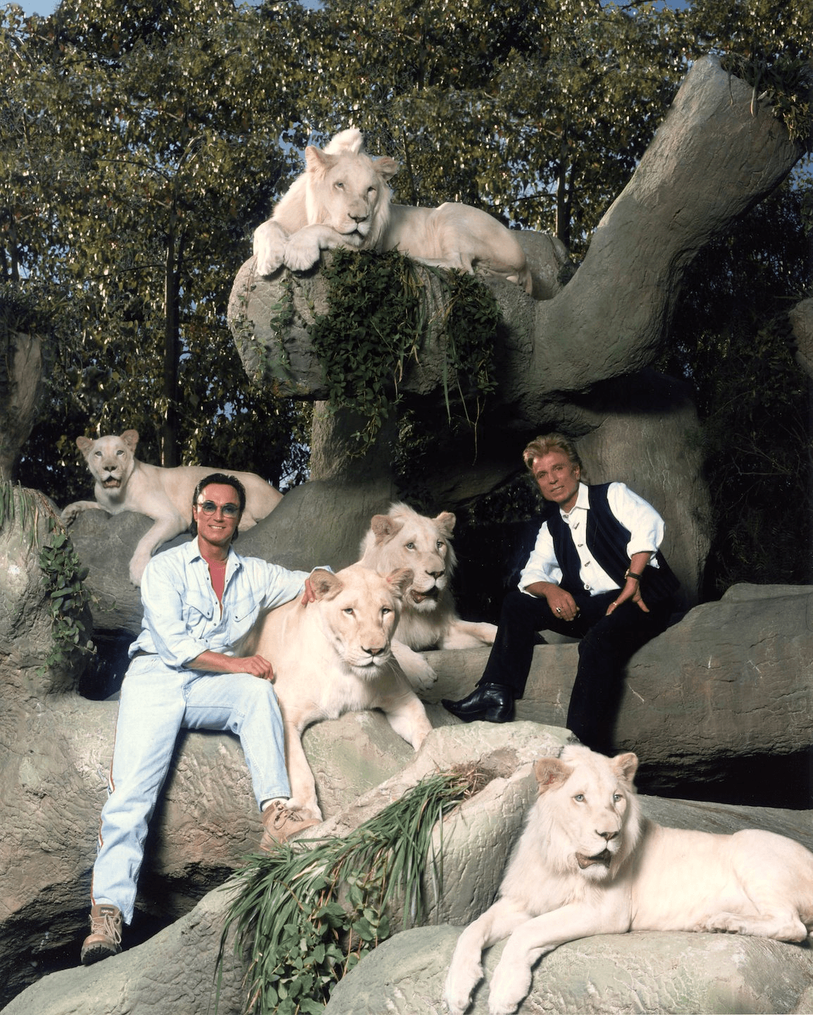 Promotional photograph of Siegfried & Roy with white lions